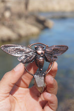 Load image into Gallery viewer, Hazy Dusk Cicada