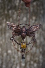 Load image into Gallery viewer, Elwyn