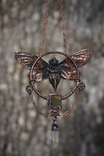 Load image into Gallery viewer, Elwyn