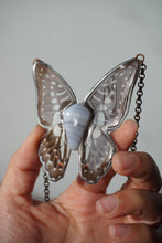 Load image into Gallery viewer, Blue Lace Butterfly