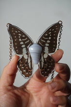 Load image into Gallery viewer, Blue Lace Butterfly