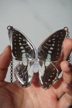Load image into Gallery viewer, Blue Lace Butterfly