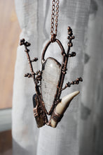 Load image into Gallery viewer, Forest Findings