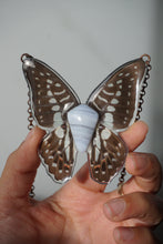 Load image into Gallery viewer, Blue Lace Butterfly