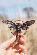 Load image into Gallery viewer, Midnight Summit Cicada