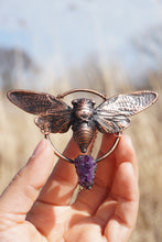 Load image into Gallery viewer, Midnight Summit Cicada
