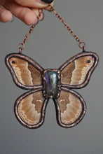 Load image into Gallery viewer, Eve