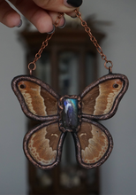 Load image into Gallery viewer, Eve