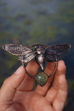 Load image into Gallery viewer, Swamp Cicada
