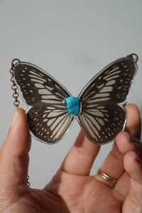 Turquoise Butterfly