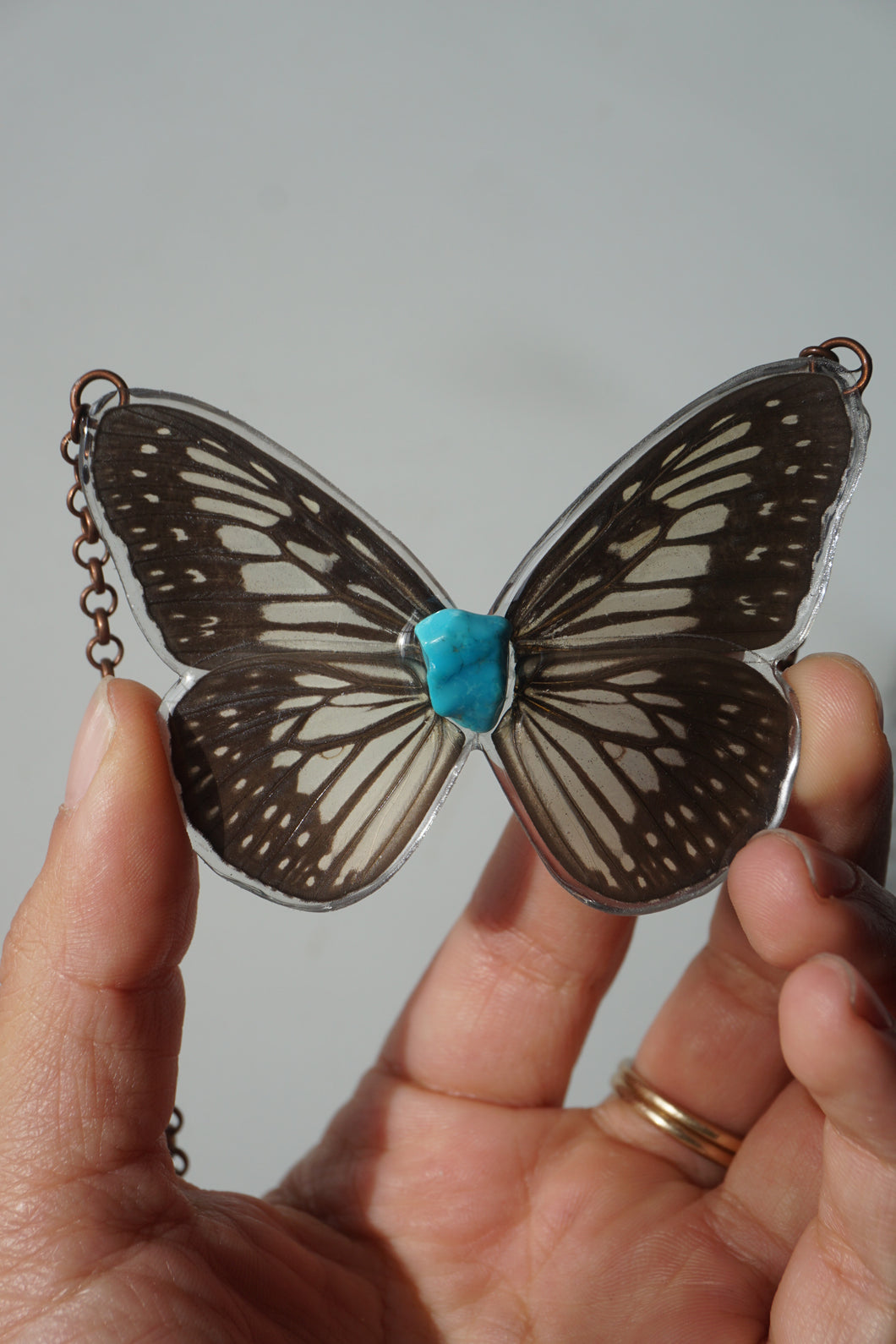 Turquoise Butterfly
