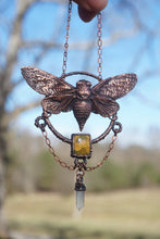 Load image into Gallery viewer, Elwyn
