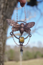 Load image into Gallery viewer, Elwyn
