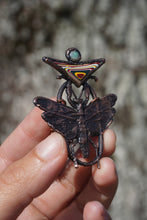 Load image into Gallery viewer, Calypso
