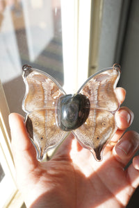 Velvet Obsidian Butterfly
